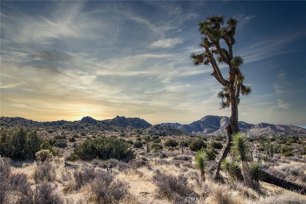 MLS #JT25069039 image #23