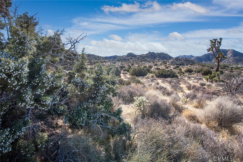 MLS #JT25069039 image #3