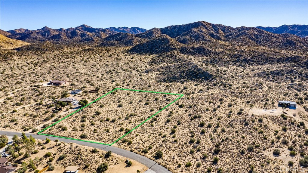 MLS #JT25069039 image #4