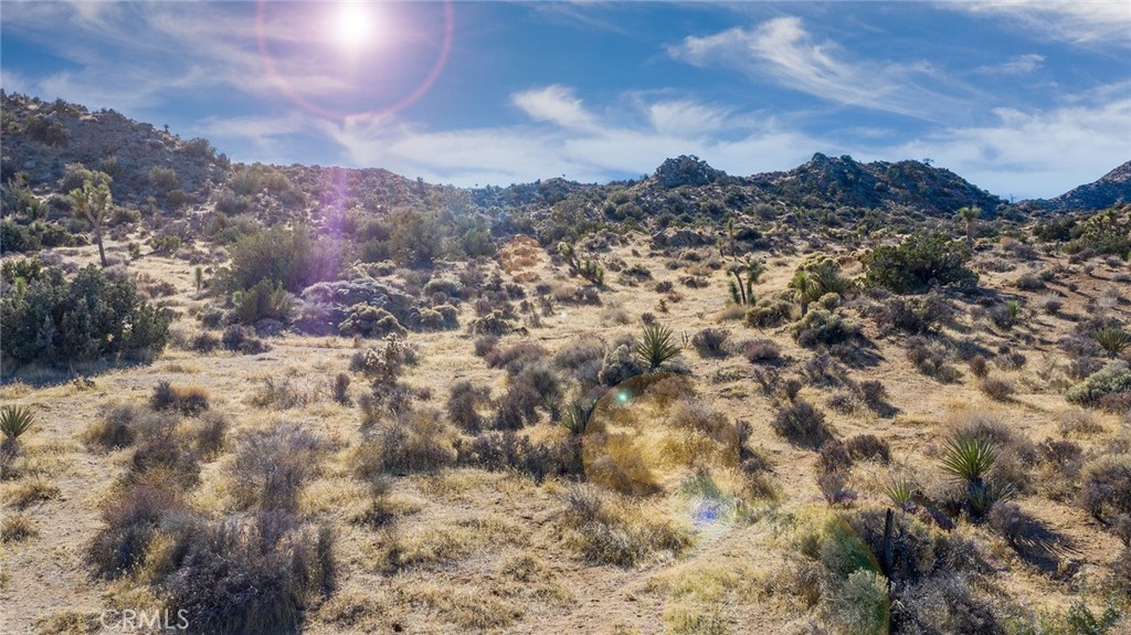 MLS #JT25069039 image #5