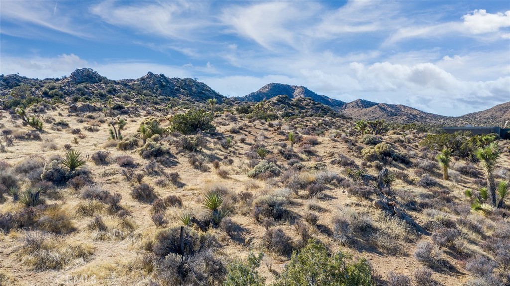 MLS #JT25069039 image #7