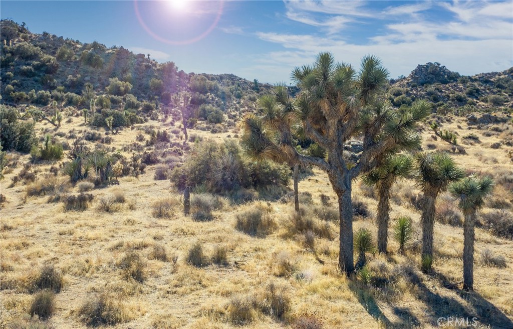 MLS #JT25069039 image #8