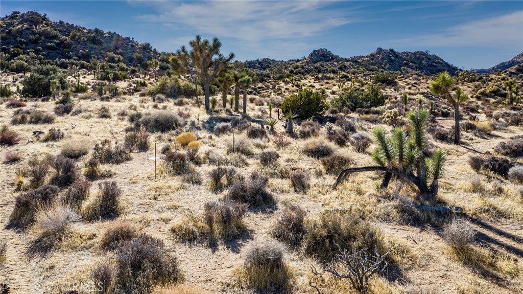 MLS #JT25069039 image #9