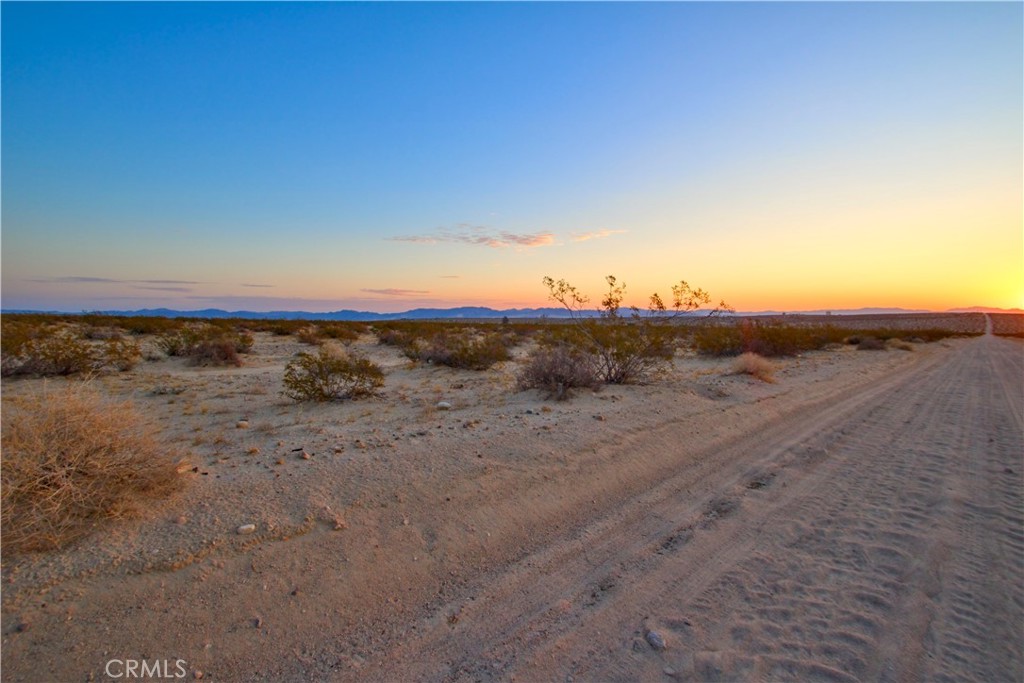 MLS #JT25071658 image #11