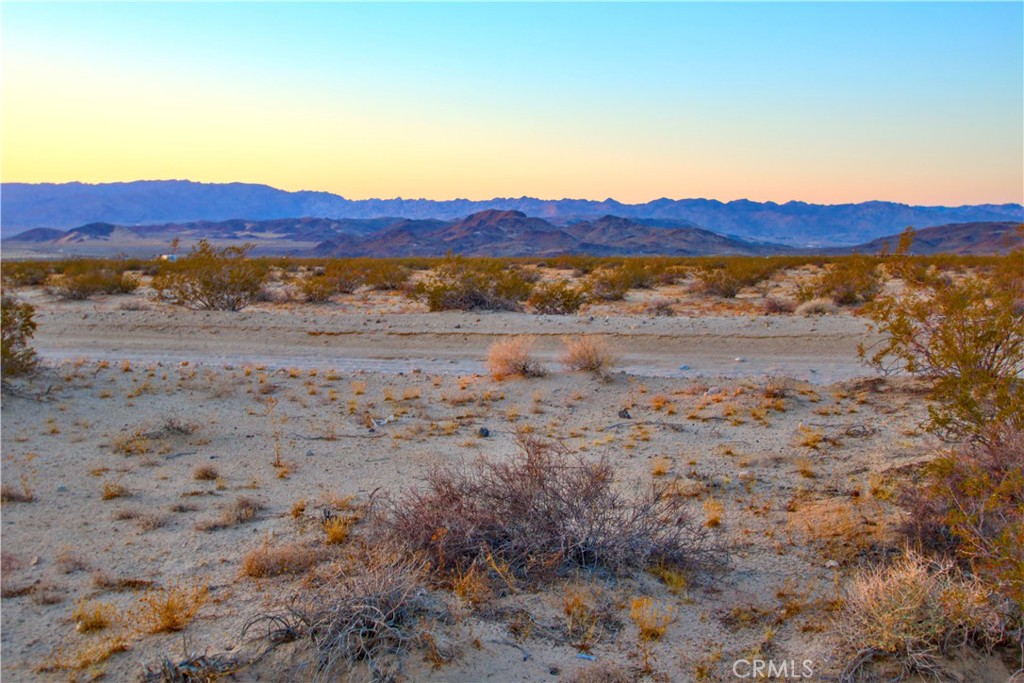 MLS #JT25071658 image #6