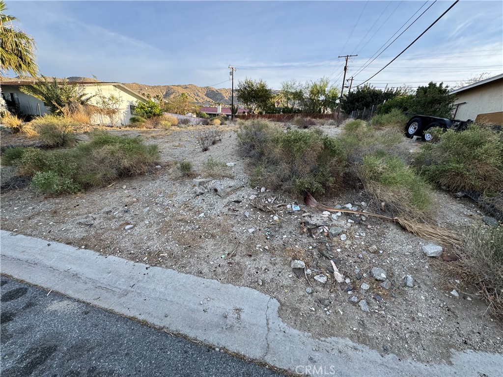 MLS #JT25071888 image #4