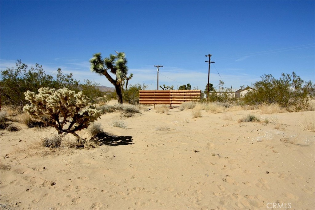 MLS #JT25072387 image #10