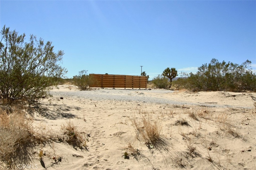 MLS #JT25072387 image #12