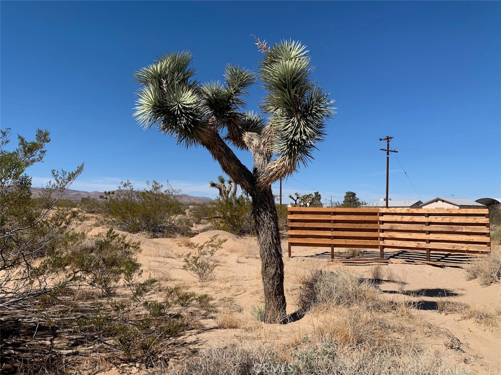 MLS #JT25072387 image #16