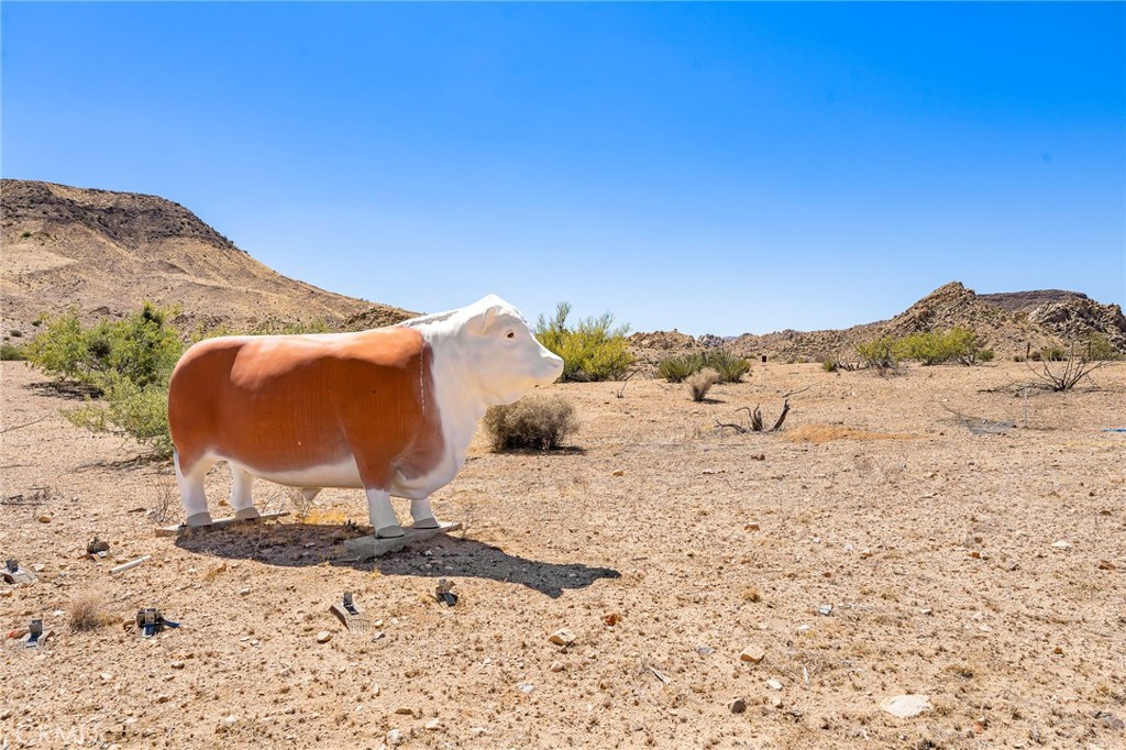 MLS #JT25074994 image #2