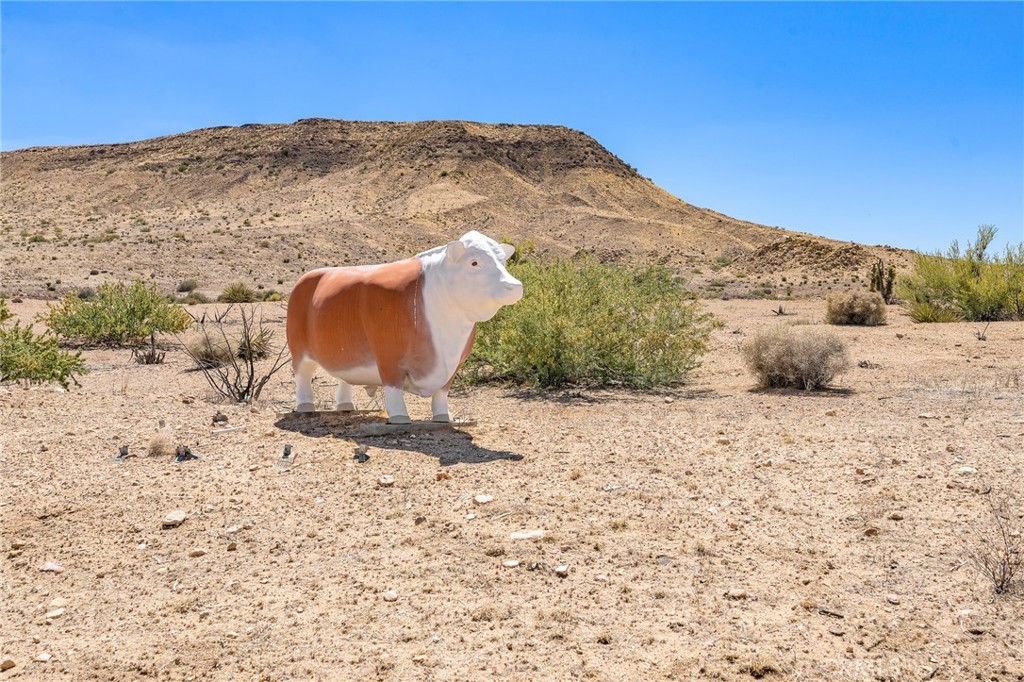 MLS #JT25074994 image #43