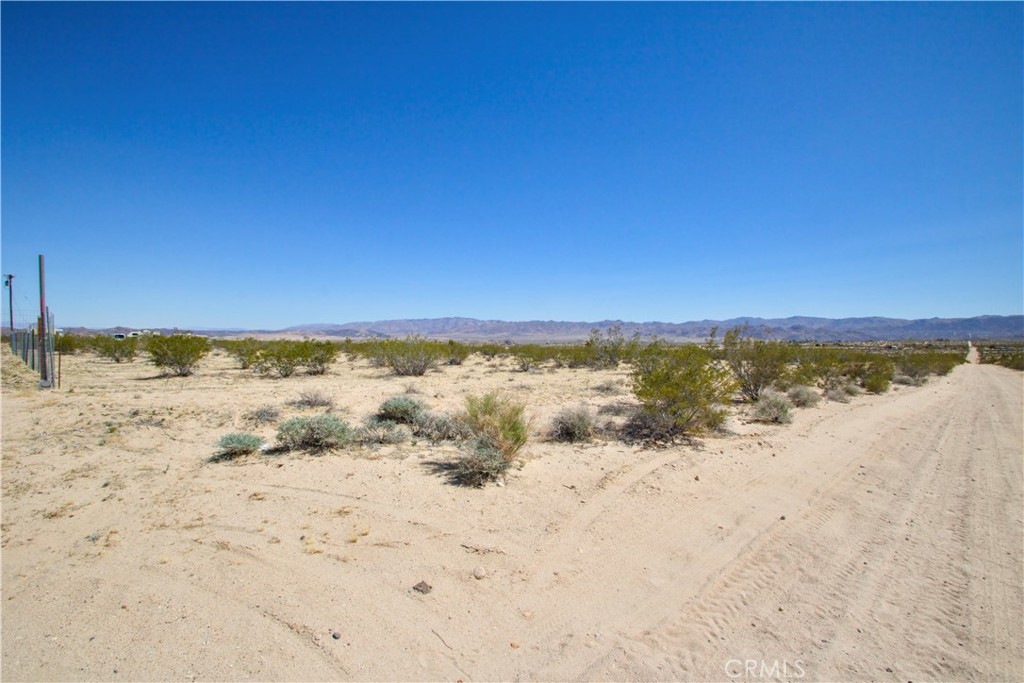 MLS #JT25075215 image #3