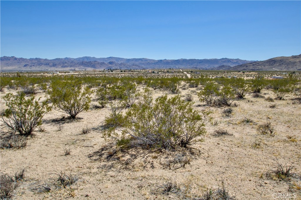 MLS #JT25075215 image #4