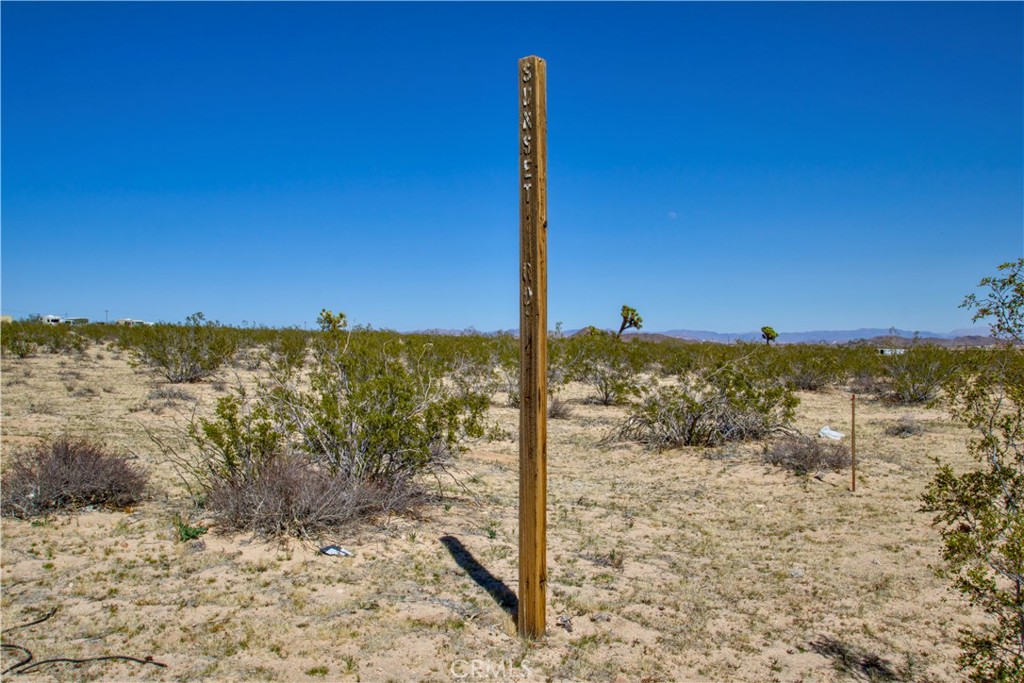 MLS #JT25075215 image #5