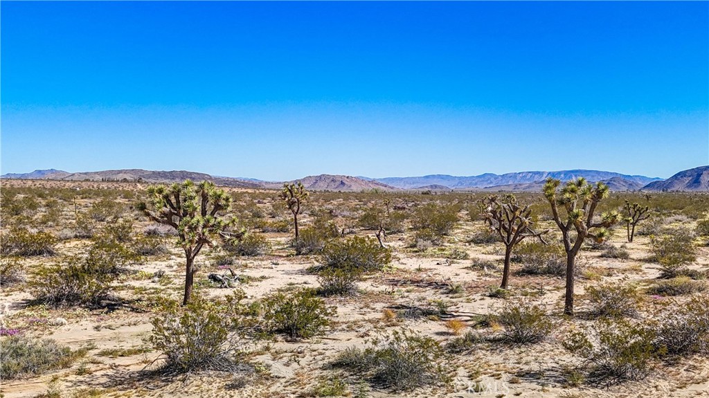 MLS #JT25078936 image #1