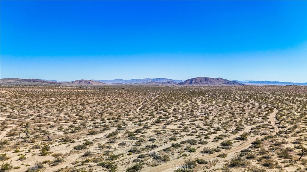 MLS #JT25078936 image #10