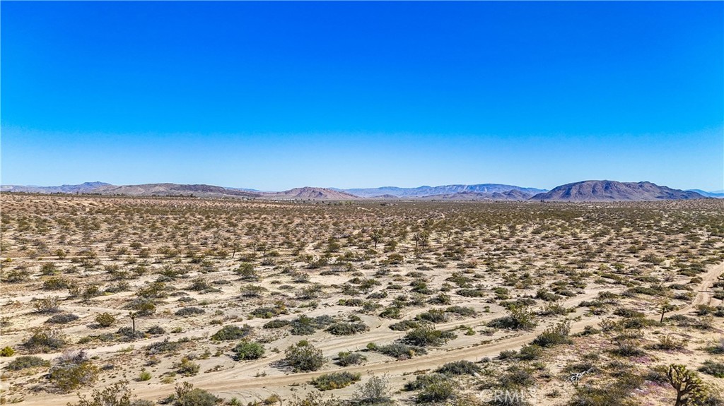 MLS #JT25078936 image #11