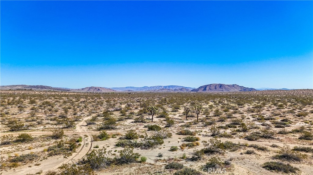 MLS #JT25078936 image #12