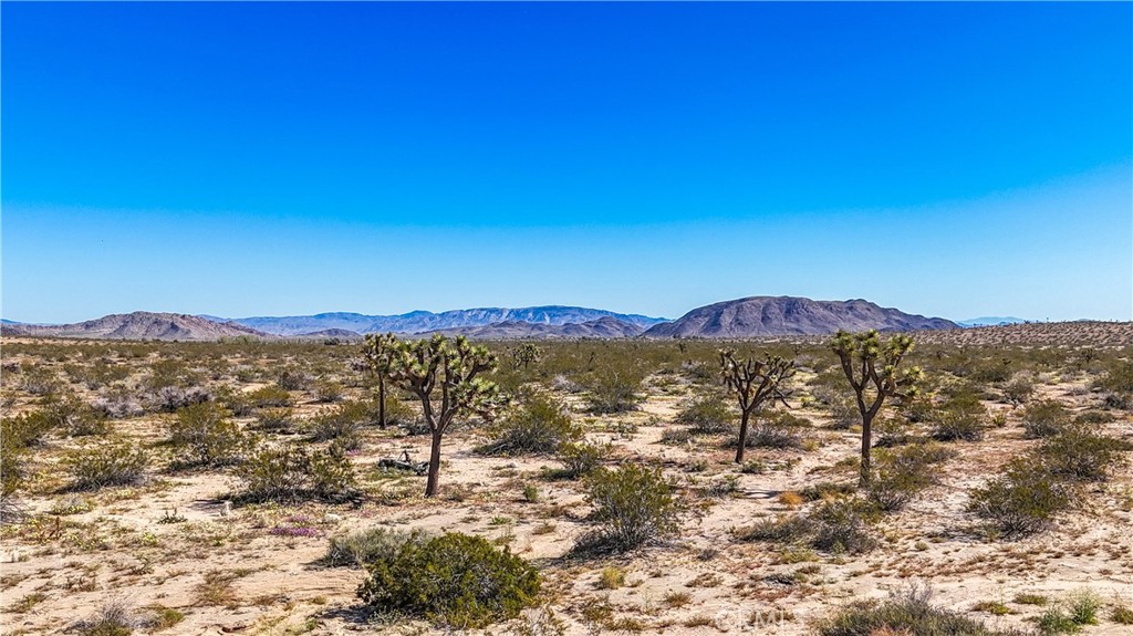 MLS #JT25078936 image #14