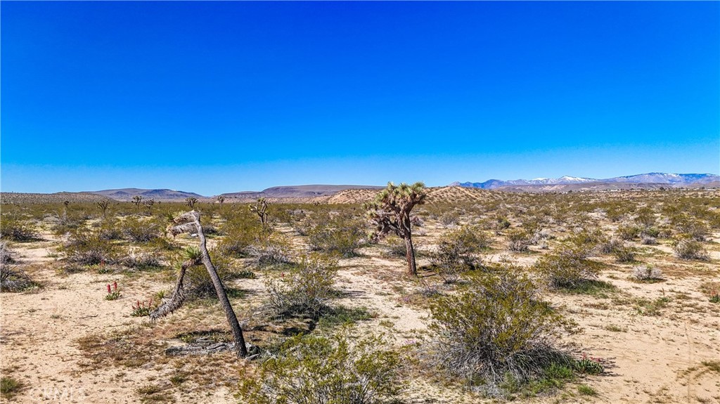 MLS #JT25078936 image #15