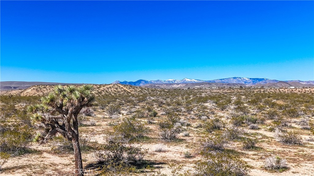 MLS #JT25078936 image #16