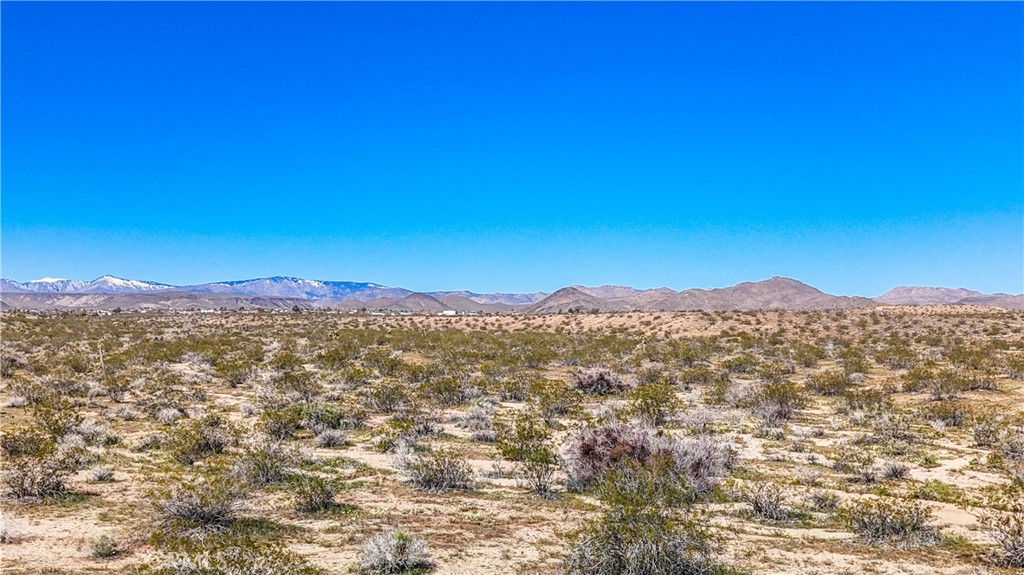 MLS #JT25078936 image #17