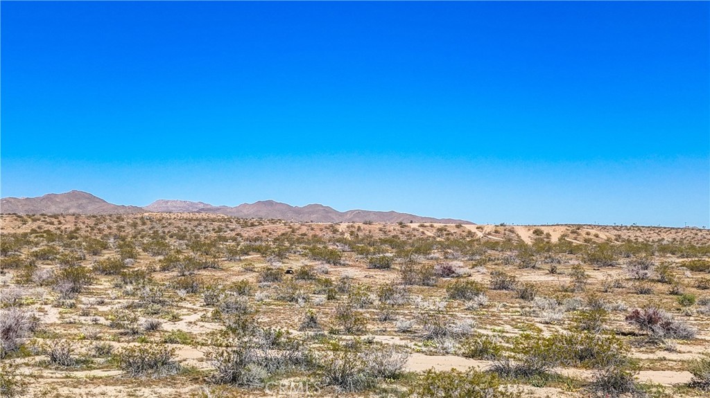 MLS #JT25078936 image #18