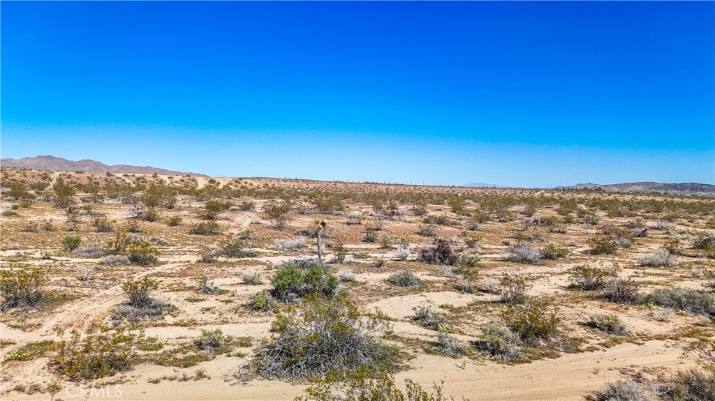 MLS #JT25078936 image #19