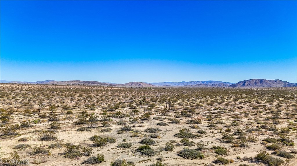 MLS #JT25078936 image #2