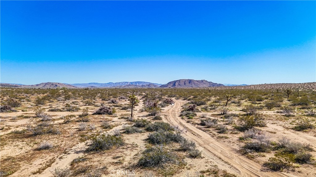 MLS #JT25078936 image #20