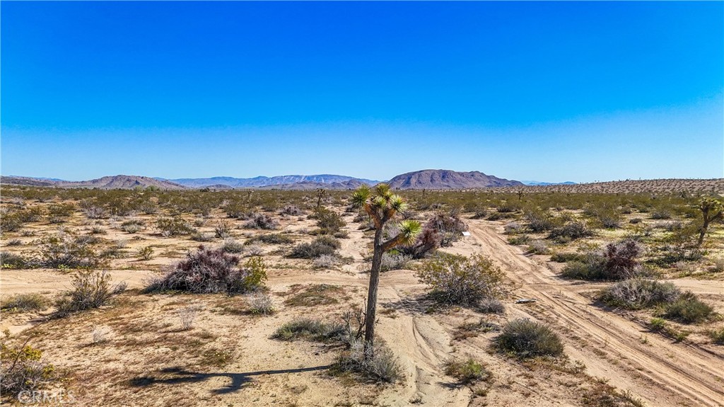 MLS #JT25078936 image #21