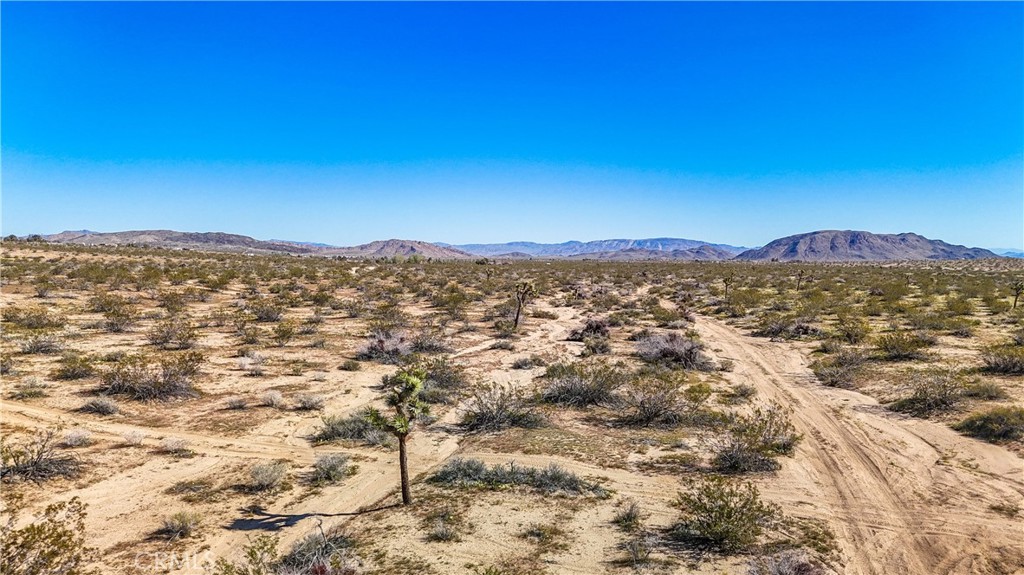 MLS #JT25078936 image #22