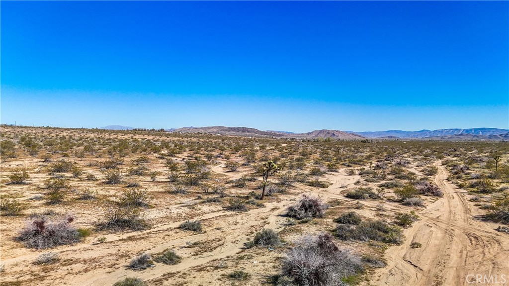 MLS #JT25078936 image #23