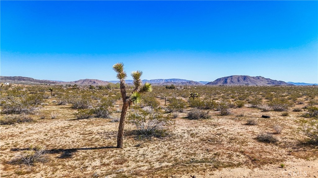 MLS #JT25078936 image #27