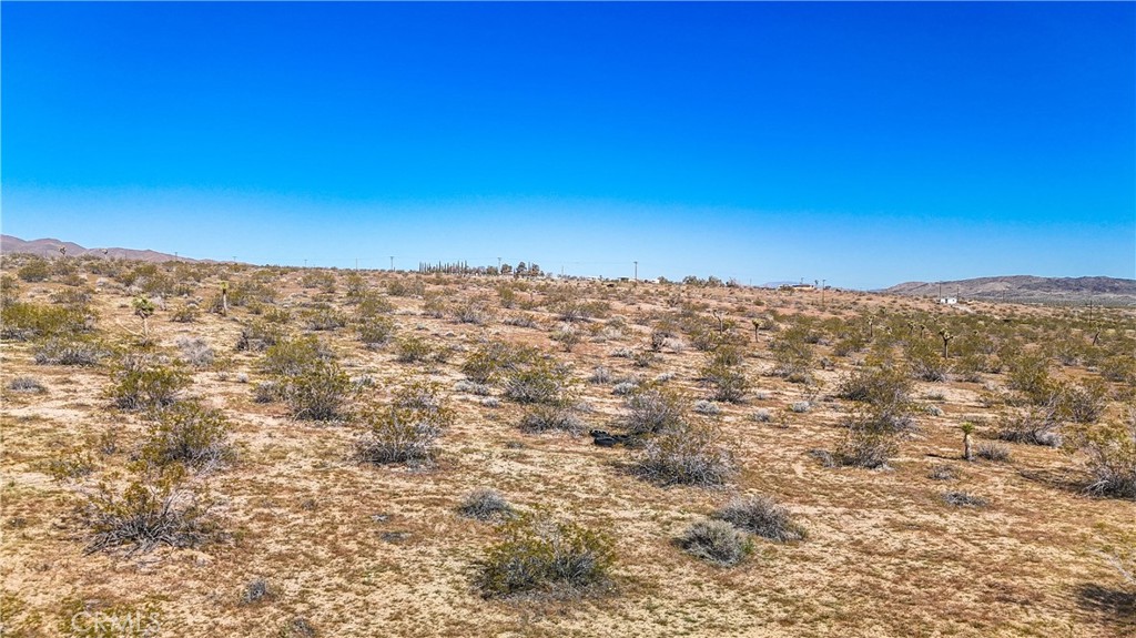 MLS #JT25078936 image #29