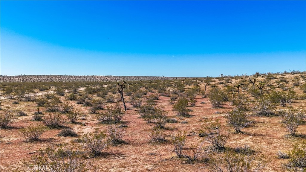 MLS #JT25078936 image #31