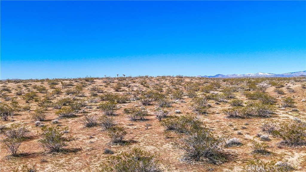 MLS #JT25078936 image #32