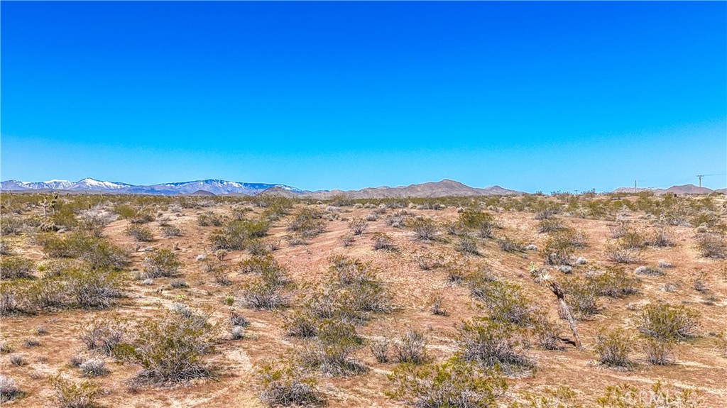 MLS #JT25078936 image #34