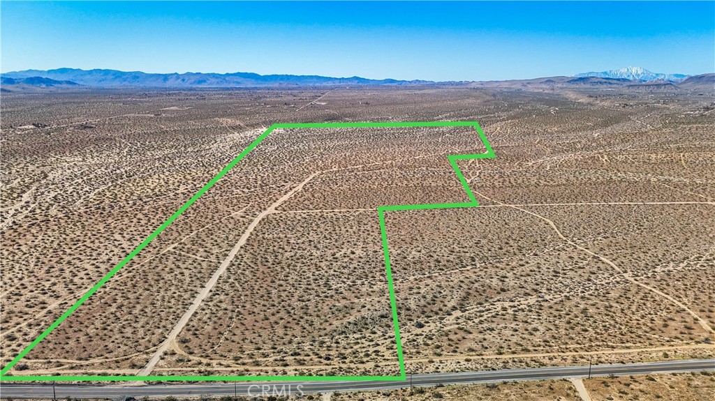 MLS #JT25078936 image #4