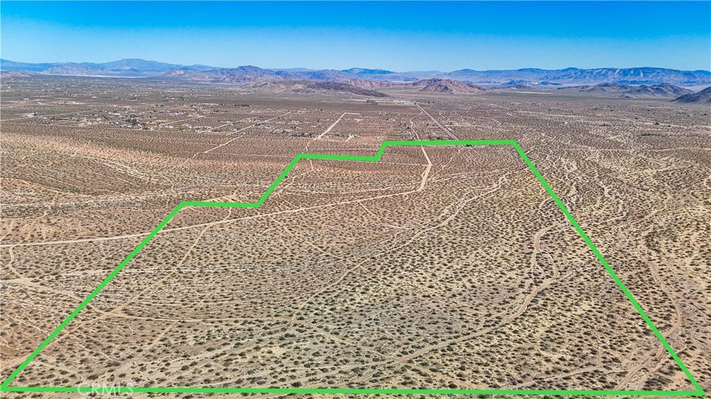 MLS #JT25078936 image #8