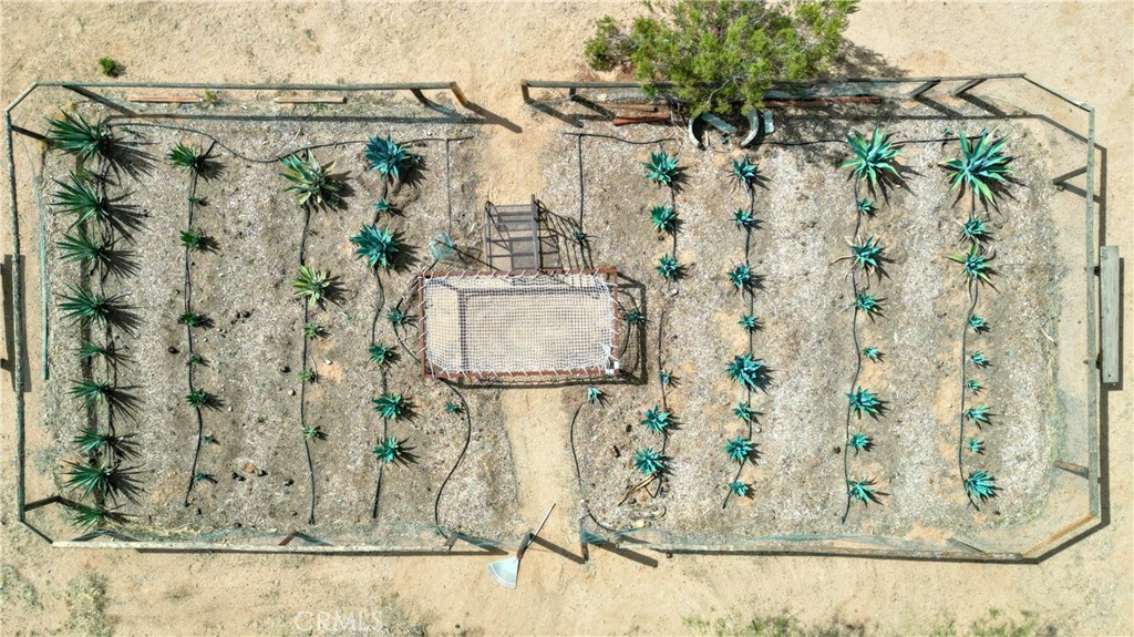 MLS #JT25079944 image #21