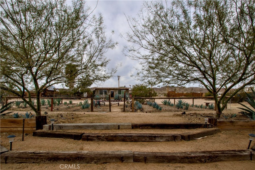 MLS #JT25079944 image #22