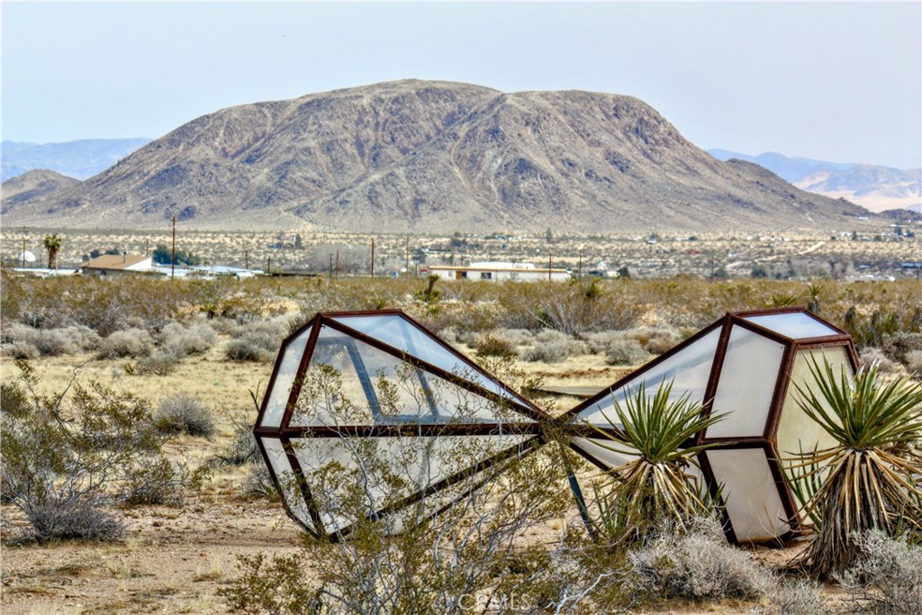 MLS #JT25079944 image #43