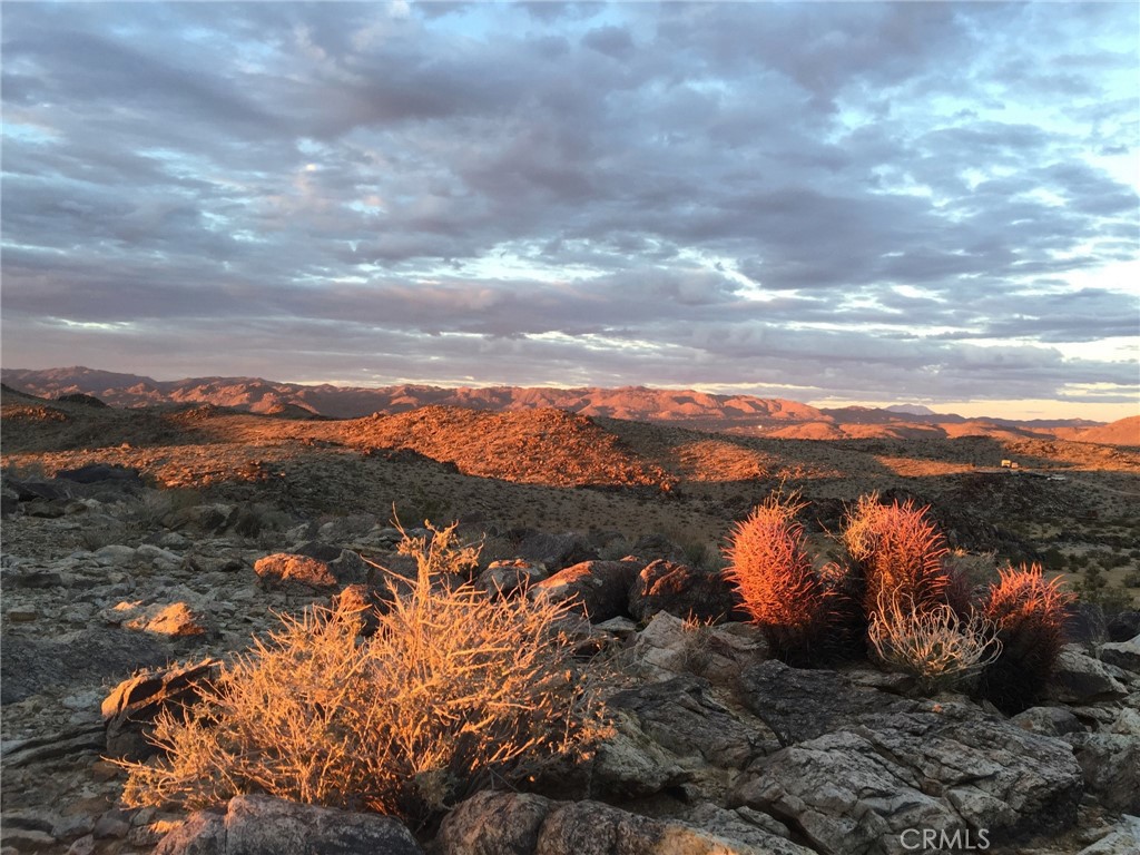 MLS #JT25081069 image #20