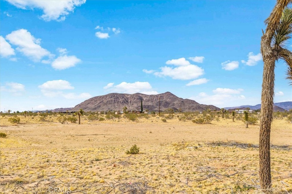 MLS #JT25081649 image #25