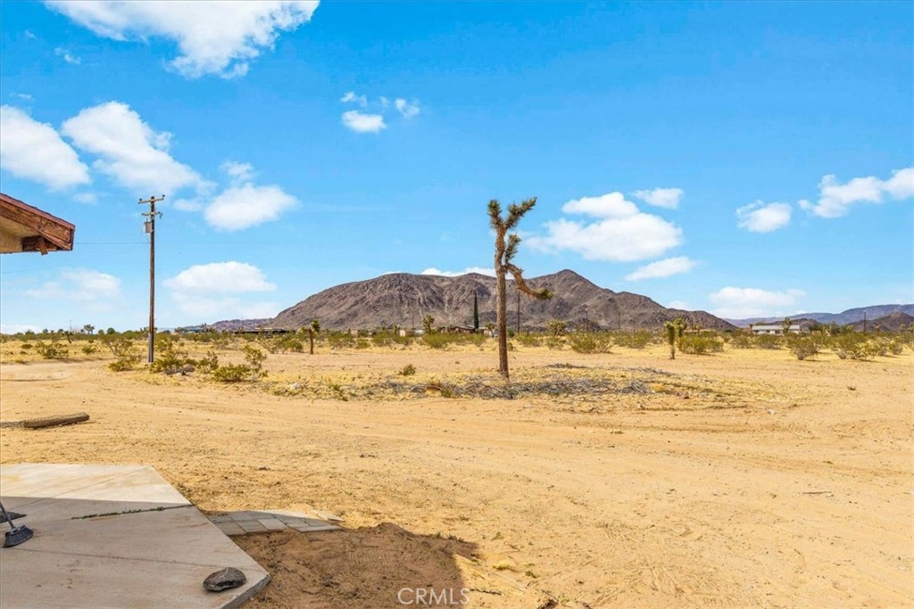 MLS #JT25081649 image #26