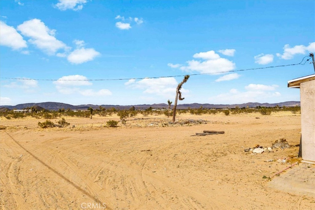 MLS #JT25081649 image #35