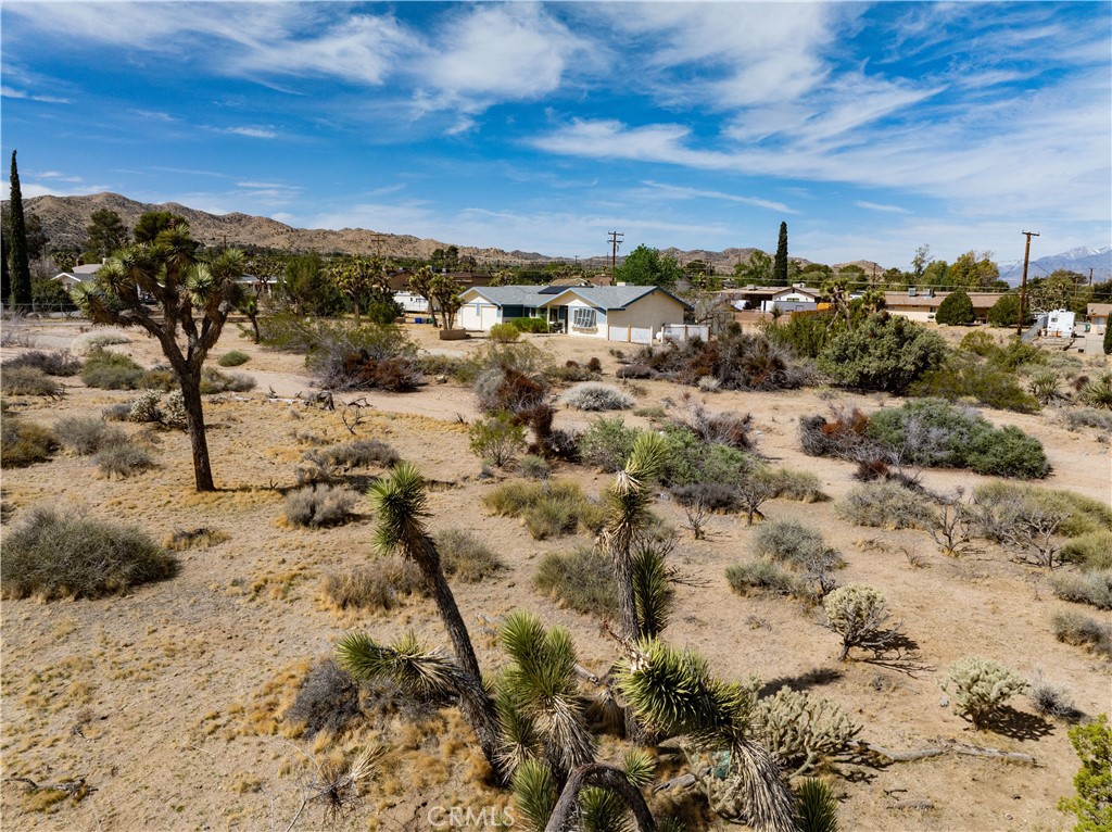 MLS #JT25084078 image #24