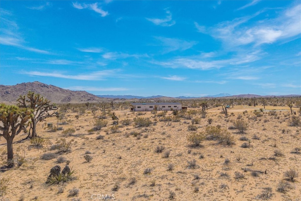 MLS #JT25084453 image #5