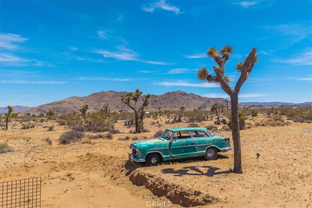 MLS #JT25084453 image #59